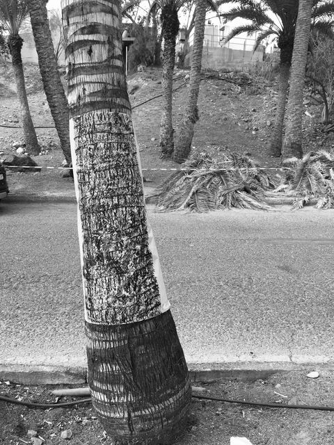 Kurt Strobeck – Frottage, 2013–2023, Bild 1